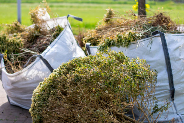 Best Estate Cleanout Services  in Louisville, MS